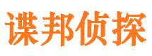 高阳市侦探